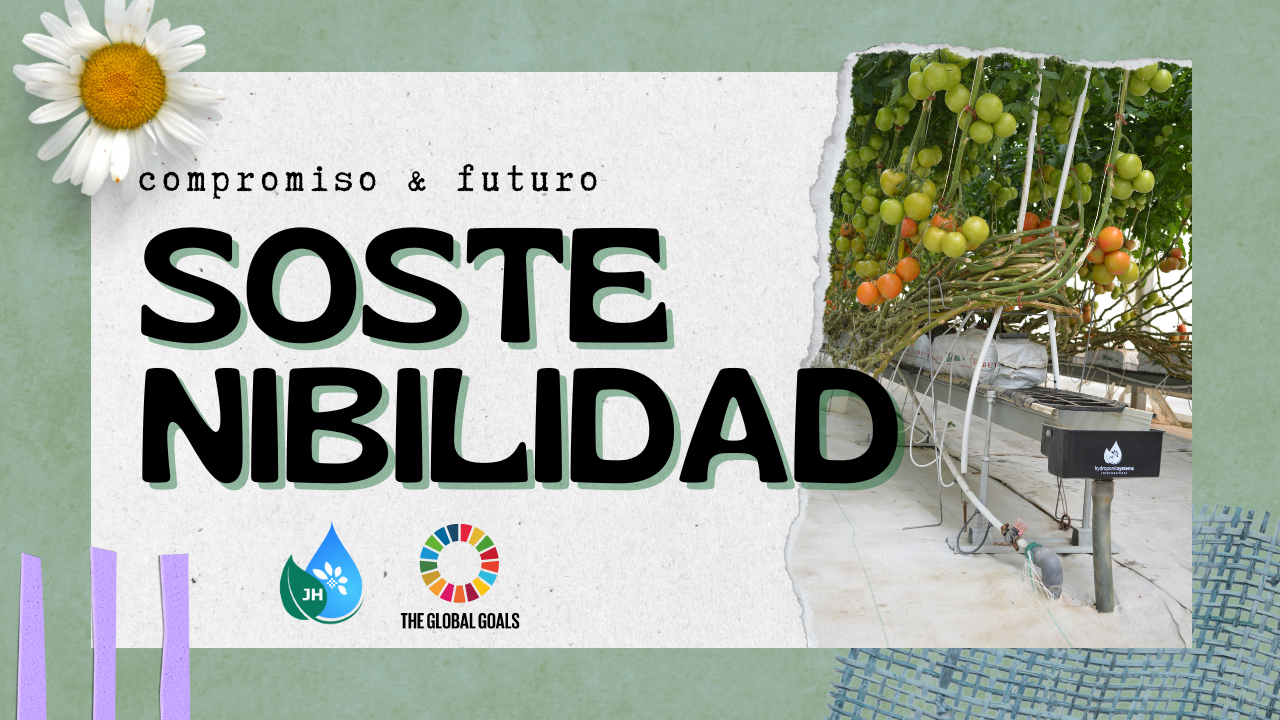 Compromiso Inquebrantable con la Sostenibilidad - Hydroponic Systems
