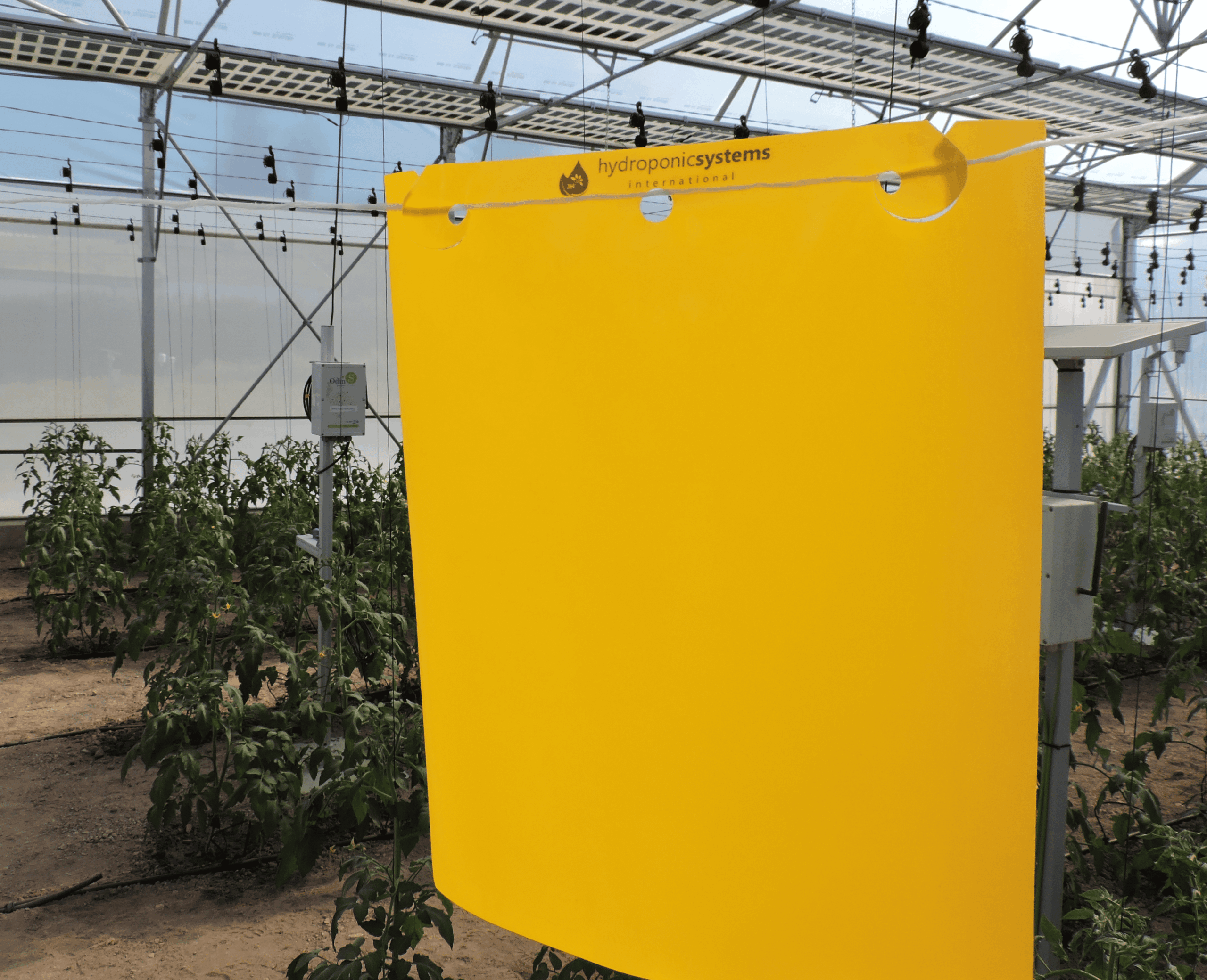 trampa hydroponic doble gancho 2