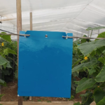 vlcsnap-2025-12-17-17h22m15s155