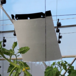 vlcsnap-2025-12-17-17h26m10s408