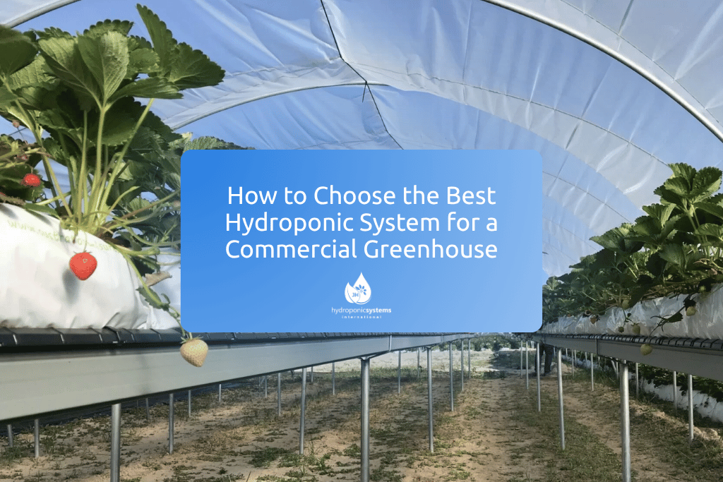 How to choose the best hydroponic system for a commercial greenhouse