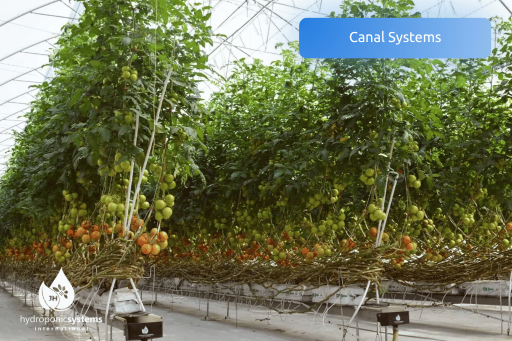 Hydroponic gutter systems for professional greenhouse production